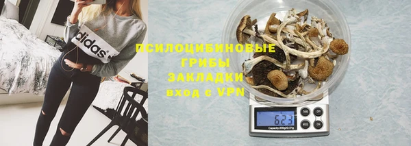 СК Богородицк