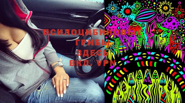 хмурый Богданович