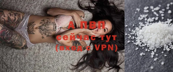 ПСИЛОЦИБИНОВЫЕ ГРИБЫ Сатка