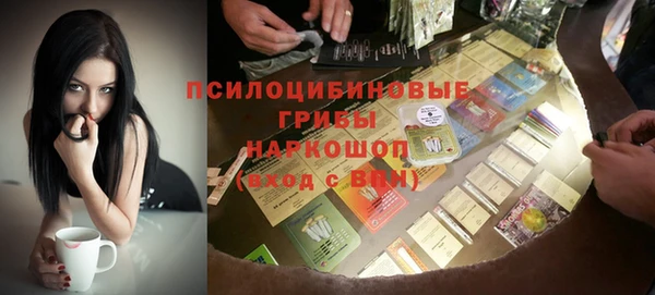 СК Богородицк