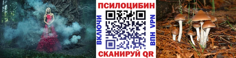 Галлюциногенные грибы Psilocybine cubensis Реж