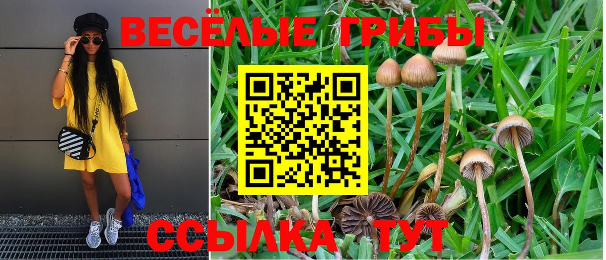 Галлюциногенные грибы Magic Shrooms Реж