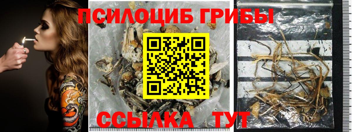 Реж  Галлюциногенные грибы мухоморы  Галлюциногенные грибы GOLDEN TEACHER  Вход с VPN 